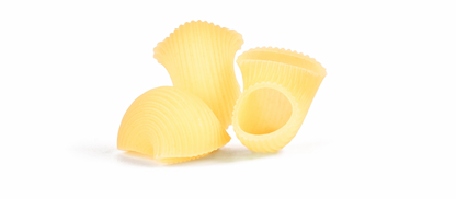 Conchiglie Trafilatura Ruvida BIOLOGICO